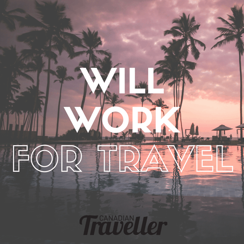 Will Work for Travel Quote