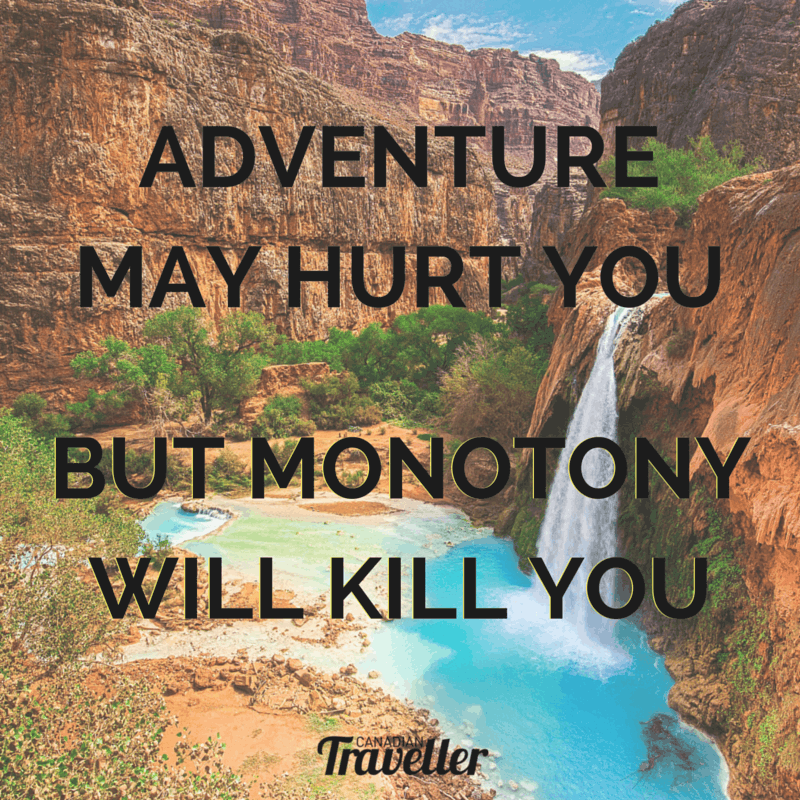 Adventure may hurt you but monotony will kill you