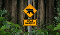 bear warning sign
