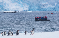 Antarctica with Aurora Expeditions