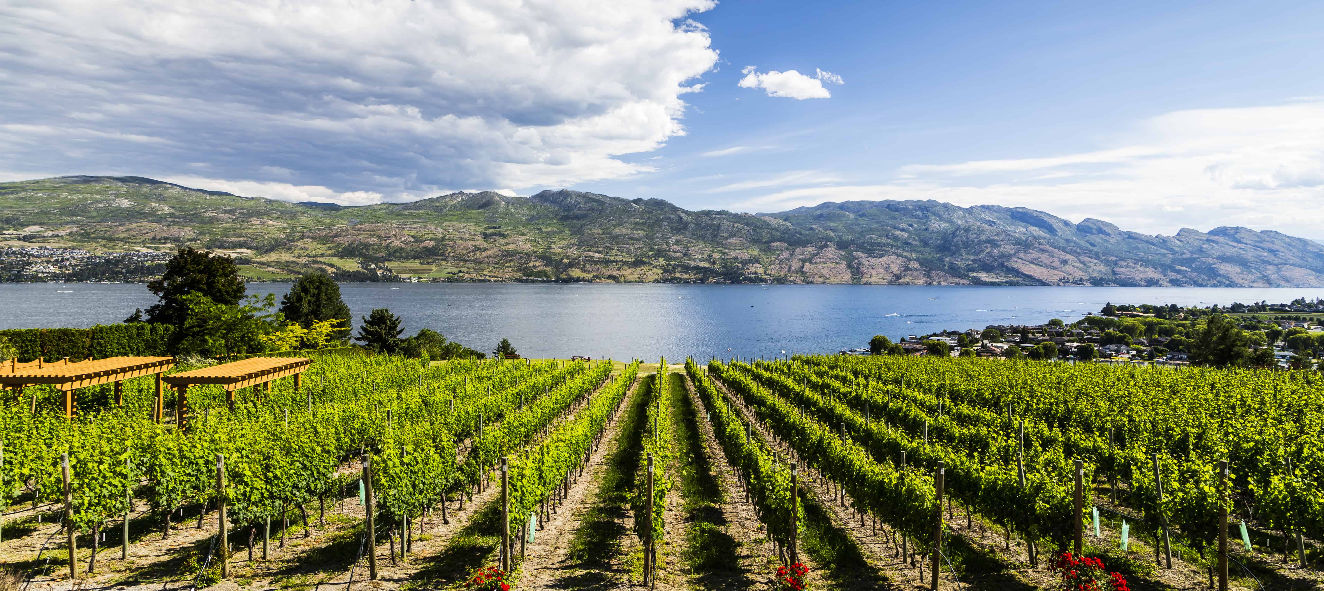 Top Things To Do On Your Kelowna Vacation Canadian Traveller