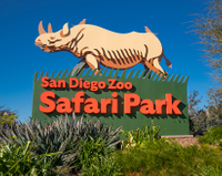 San Diego Zoo | Visit Anaheim