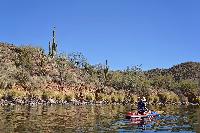saguaro stand up paddle board lakemesa