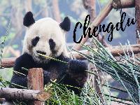 Chengdu Panda China