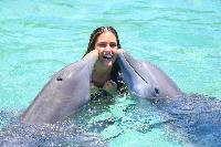 dolphin Cove jamaica