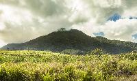 Mount Liamugia