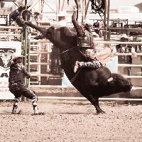 Strathmore Rodeo