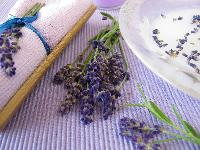 lavendar milk spa