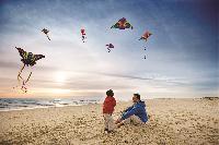 Beach kites south padre island