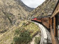 Train Ecuador