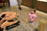 Wyoming Dinosaur Center fossils