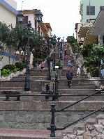 The Steps On Santa Ana Hill