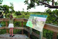 Viewing_Calusa_Heritage_Trail