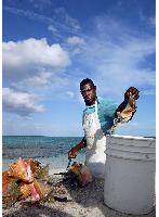 conch fisherman cleaning conch