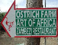 ostrich farm sign