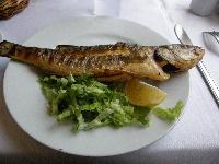 Fish Restaurant Istanbul