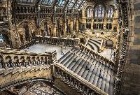 the Natural History Museum
