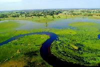 Okavango  Delta