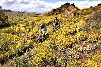 superstition mountains mesa arizona biking