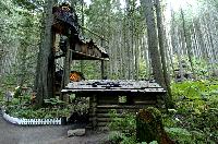 Enchanted Forest BC