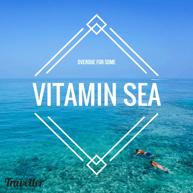 I need Vitamin Sea Travel Quote Inspiration