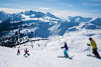 Ski/Snowboard Whistler