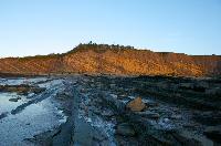 Joggins Fossil Cliffs UNESCO World Heritage Site, Bay of Fundy & Annapolis Valley