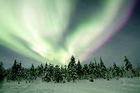lapland finland snow northern lights aurora borealis
